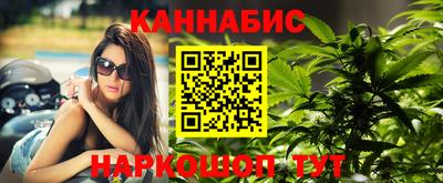 гидра Дубна