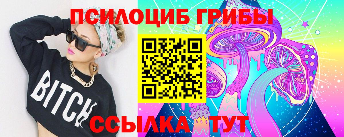 Курчатов  Псилоцибиновые грибы Magic Shrooms  Вход с VPN 